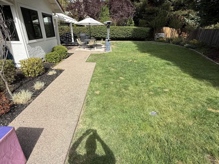Backyard and walkway before the Danville detached patio cover project began.